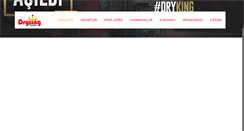 Desktop Screenshot of dryking.com.tr